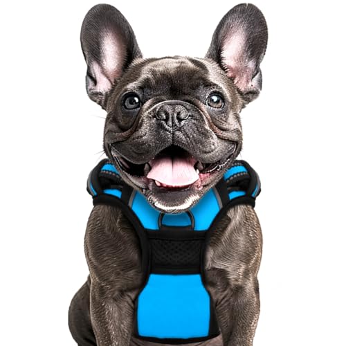 Buddy's Best Hundegeschirr mit 2 Leinenclips, verstellbar, weich gepolstert, kein Ziehen, reflektierend, kein Würgen, Oxford-Weste, ein Leinenclip auf jeder Seite, Blau, Größe XL Buddy's Best Hundegeschirr mit 2 Leinenclips, verstellbar, weich gepolstert, kein Ziehen, reflektierend, kein Würgen, Oxford-Weste, ein Leinenclip auf jeder Seite, Blau, Größe XL von Buddy's Best