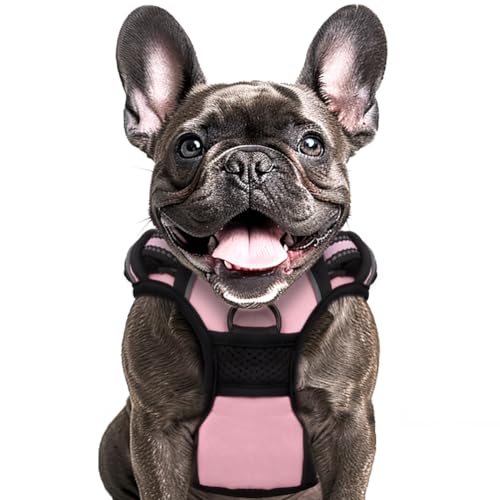 Buddy's Best Hundegeschirr mit 2 Leinenclips, verstellbar, weich gepolstert, kein Ziehen, reflektierend, kein Würgen, Oxford-Weste, ein Leinenclip auf jeder Seite (Rosa, L) von Buddy's Best