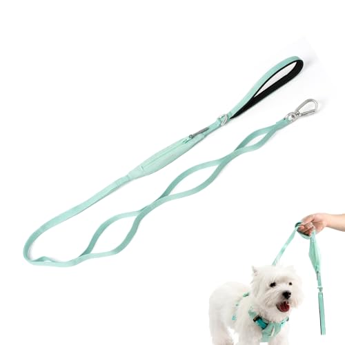 BuddyArmor Hundeleine mit Tasche, Trainingsleine mit 5 Griffen, strapazierfähig, leicht, mit Drehverschluss, Karabiner für kleine, mittelgroße und große Hunde, zum Spazierengehen, Laufen, Wandern BuddyArmor Hundeleine mit Tasche, Trainingsleine mit 5 Griffen, strapazierfähig, leicht, mit Drehverschluss, Karabiner für kleine, mittelgroße und große Hunde, zum Spazierengehen, Laufen, Wandern von BuddyArmor