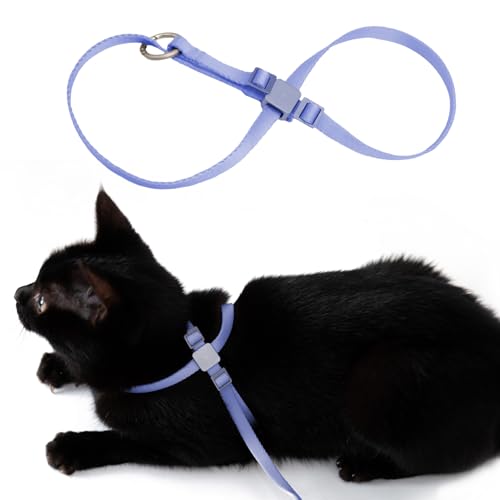BuddyArmor Katzengeschirr, ausbruchsicher, Anti-Würgen, verstellbar, leicht, geeignet für Katzen jeden Alters, mehrere Farben, S, 70 cm (Armor Blue) von BuddyArmor