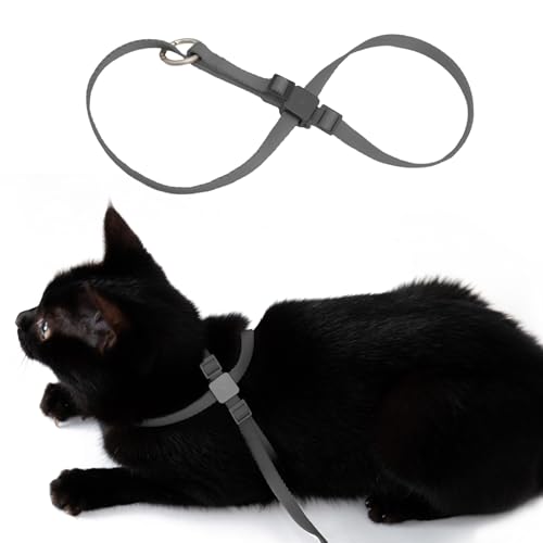 BuddyArmor Katzengeschirr, ausbruchsicher, Anti-Würgen, verstellbar, leicht, geeignet für Katzen jeden Alters, mehrere Farben, S, 70 cm (Space Grey) von BuddyArmor