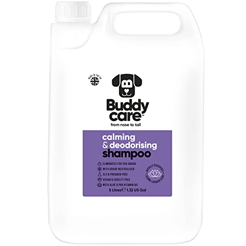 Beruhigendes & desodorierendes Shampoo von Buddycare - Lavendelduftendes Hundeshampoo - Mit Aloe Vera und Pro-Vitamin B5 (5L) von Buddycare