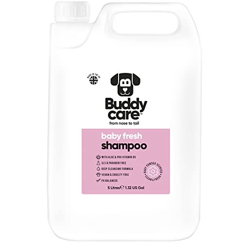 Baby Fresh Dog Shampoo von Buddycare - Shampoo für müffelige Hunde ab 8 Wochen - Baby-Puder-duftendes Welpen-Shampoo mit Aloe Vera und Provitamin B5 (5L) von Buddycare