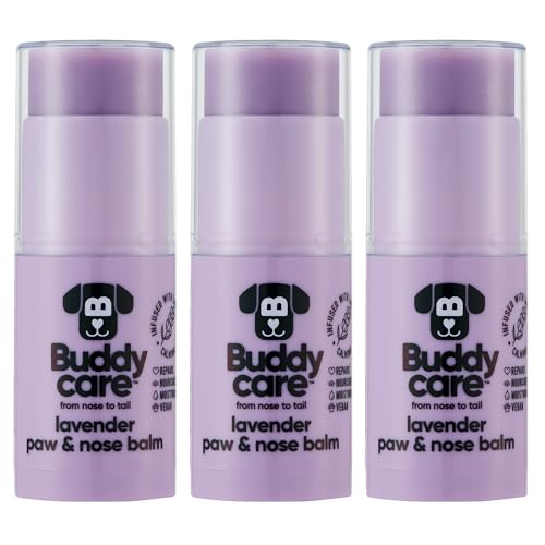Buddycare Hundepfoten- und Nasenbalsam – Lavendel schützt und repariert trockene, rissige und rissige Haut, vegan und tierversuchsfrei, spendet Feuchtigkeit und pflegt | Pflegezubehör im Taschenformat von Buddycare