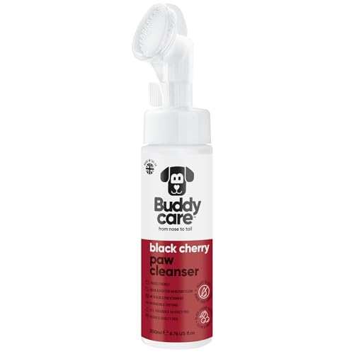Buddycare Hundepfotenreiniger – Schwarzkirsche – 200 ml Buddycare Hundepfotenreiniger – Schwarzkirsche – 200 ml von Buddycare