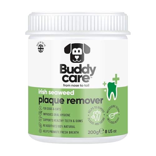 Buddycare Irischer Algen-Plaque-Entferner, 200 g Buddycare Irischer Algen-Plaque-Entferner, 200 g von Buddycare
