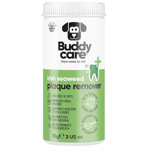 Buddycare Irischer Algen-Plaque-Entferner, 75 g Buddycare Irischer Algen-Plaque-Entferner, 75 g von Buddycare