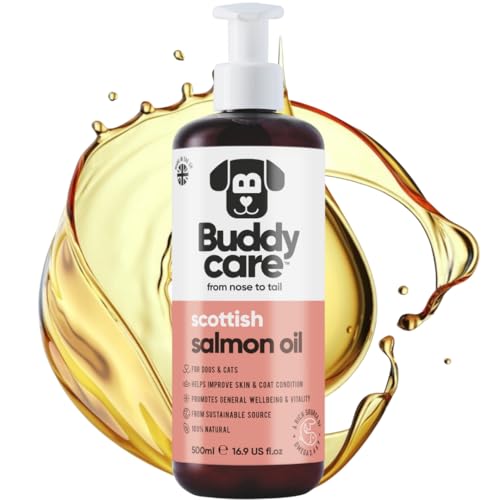 Buddycare Premium-Lachsöl für Hunde UK (500ml) | Essentielle Omega-3, -6 & -9 Ergänzung für Hunde & Katzen | Natürliches Omega-3 für Katzen | Lachsöl für Katzen zur Unterstützung des Immunsystems von Buddycare