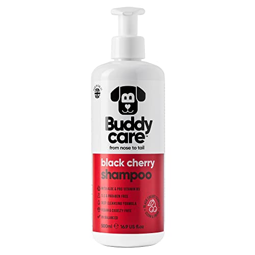 Schwarzkirsch-Hundeshampoo von Buddycare - Tiefenreinigendes Shampoo für Hunde - Fruchtiger Duft - Mit Aloe Vera und Pro-Vitamin B5 (500ml) von Buddycare