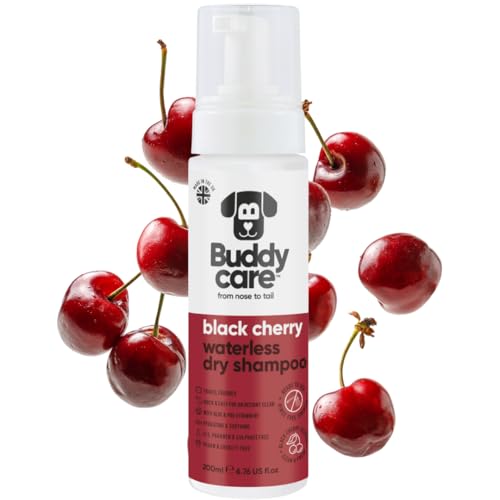 Buddycare Trockenshampoo für Hunde ohne Wasser (200 ml) | Black Cherry Hundeshampoo für empfindliche Haut | Natürliches, einfach anzuwendendes Trockenshampoo für frisches, sauberes Fell von Buddycare
