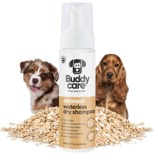 Buddycare Wasserloses Trockenshampoo für Hunde (200 ml) | Oatmeal Hundeshampoo ohne Ausspülen für empfindliche Haut | Natürliches, einfach anzuwendendes Trockenshampoo für frisches, sauberes Fell von Buddycare