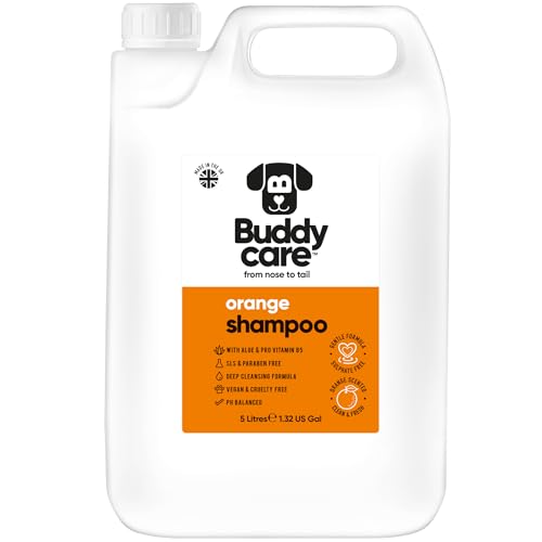 Orange Hundeshampoo von Buddycare - Tiefenreinigungsshampoo für Hunde - Fruchtiger Duft - Mit Aloe Vera und Pro-Vitamin B5 (5L) von Buddycare