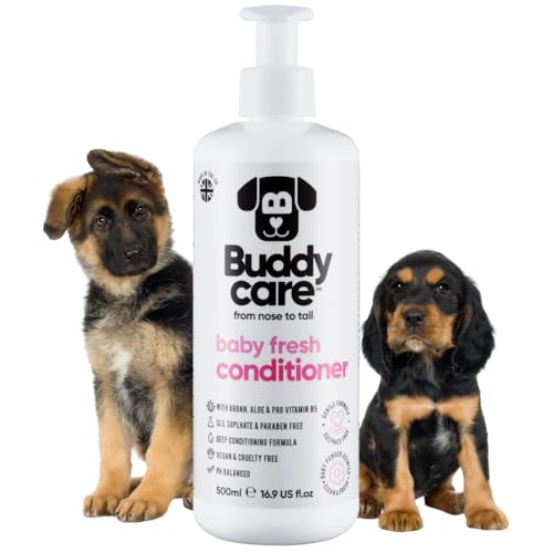 Revitalisant Pour Chien Baby Fresh de Buddycare - 500ml - Revitalisant parfumé à la Poudre Pour bébé Avec aloès Vera et provitamine B5 von Buddycare
