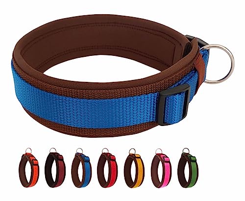 BUDDYPACK | Bequemes Hundehalsband | Extra-Breit mit Neopren-Polster | Für Kleine, Mittlere und Große Hunde | Größe XXS-3XL (L (50-55 cm), Blau auf Braun) von Buddypack