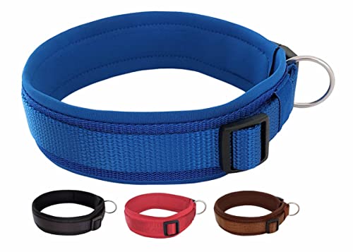 BUDDYPACK | Bequemes Hundehalsband | Extra-Breit mit Neopren-Polster | Für Kleine, Mittlere und Große Hunde | Größe XXS-3XL (M/L (47-52 cm), Blau) von Buddypack