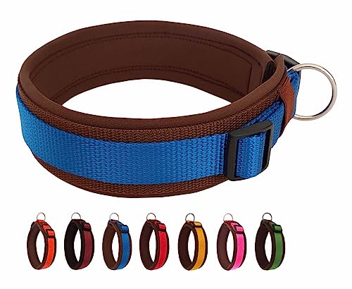 BUDDYPACK | Bequemes Hundehalsband | Extra-Breit mit Neopren-Polster | Für Kleine, Mittlere und Große Hunde | Größe XXS-3XL (M/L (47-52 cm), Blau auf Braun) von Buddypack