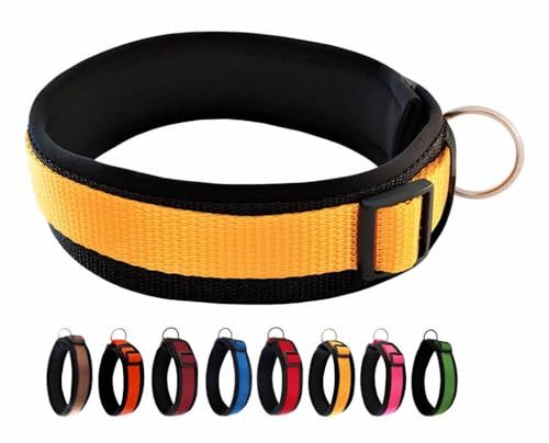 BUDDYPACK | Bequemes Hundehalsband | Extra-Breit mit Neopren-Polster | Für Kleine, Mittlere und Große Hunde | Größe XXS-3XL (M/L (47-52 cm), Gelb auf Schwarz) von Buddypack