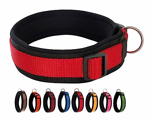 BUDDYPACK | Bequemes Hundehalsband | Extra-Breit mit Neopren-Polster | Für Kleine, Mittlere und Große Hunde | Größe XXS-3XL (M/L (47-52 cm), Rot auf Schwarz) von Buddypack