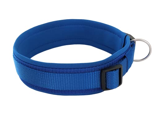 BUDDYPACK | Bequemes Hundehalsband | Extra-Breit mit Neopren-Polster | Für Kleine, Mittlere und Große Hunde | Größe XXS-3XL (S (38-43 cm), Blau) von Buddypack