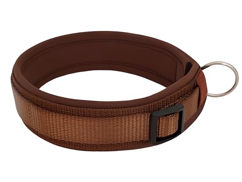 BUDDYPACK | Bequemes Hundehalsband | Extra-Breit mit Neopren-Polster | Für Kleine, Mittlere und Große Hunde | (S (38-43 cm), Schokobraun) von Buddypack