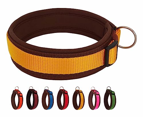 BUDDYPACK | Bequemes Hundehalsband | Extra-Breit mit Neopren-Polster | Für Kleine, Mittlere und Große Hunde | Größe XXS-3XL (XL (56-61 cm), Gelb auf Braun) von Buddypack