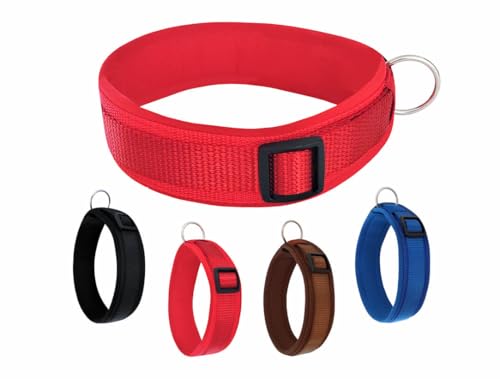 BUDDYPACK | Bequemes Hundehalsband | Extra-Breit mit Neopren-Polster | Für Kleine, Mittlere und Große Hunde | (XL (56-61 cm), Rot) von Buddypack