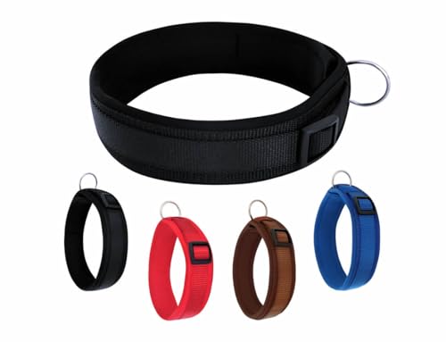 BUDDYPACK | Bequemes Hundehalsband | Extra-Breit mit Neopren-Polster | Für Kleine, Mittlere und Große Hunde | (XL (56-61 cm), Schwarz) von Buddypack