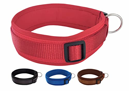 BUDDYPACK | Bequemes Hundehalsband | Extra-Breit mit Neopren-Polster | Für Kleine, Mittlere und Große Hunde | Größe XXS-3XL (XS/S (35-40 cm), Rot) von Buddypack
