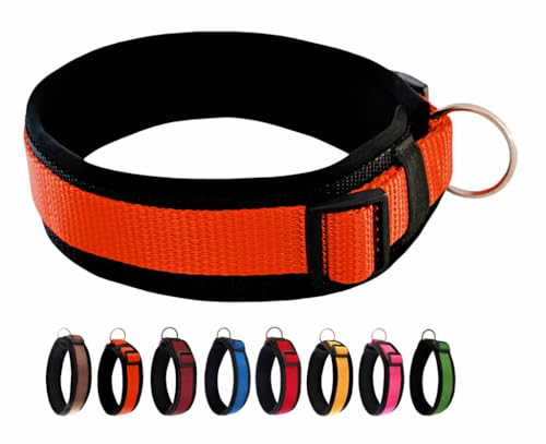 BUDDYPACK | Bequemes Hundehalsband | Extra-Breit mit Neopren-Polster | Für Kleine, Mittlere und Große Hunde | Größe XXS-3XL (XXS (29-34 cm), Rostorange auf Schwarz) von Buddypack