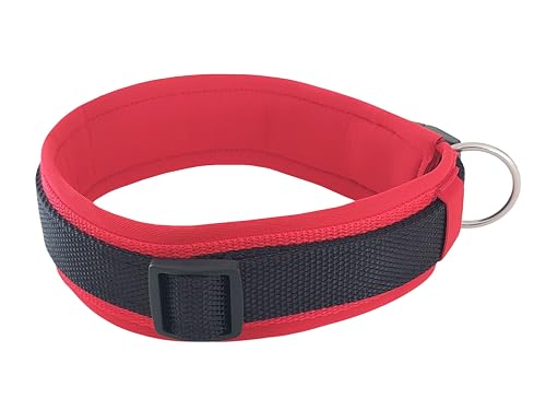 BUDDYPACK | Bequemes Hundehalsband | Extra-Breit mit Neopren-Polster | Für Kleine, Mittlere und Große Hunde | Größe XXS-3XL (XXXL (62-67 cm), Schwarz auf Rot) von Buddypack