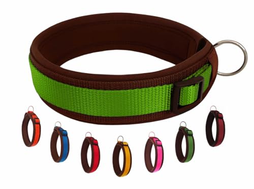 BUDDYPACK | Bequemes Hundehalsband | Extra-Breit mit Neopren-Polster | Für Minis bis Riesen | (M/L (47-52 cm), Grün auf Braun) von Buddypack
