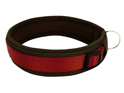 BUDDYPACK | Bequemes Hundehalsband | Extra-Breit mit Neopren-Polster | Für Kleine, Mittlere und Große Hunde (S (38-43 cm), Weinrot auf Braun) von Buddypack