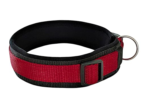 BUDDYPACK | Bequemes Hundehalsband | Extra-Breit mit Neopren-Polster | Für Minis bis Riesen | Größe XXS-3XL (S (38-43 cm), Weinrot auf Schwarz) von Buddypack