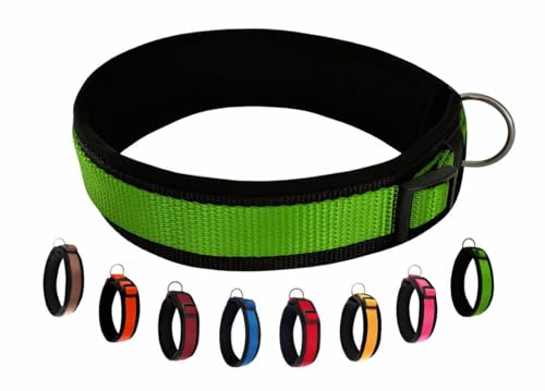 BUDDYPACK | Bequemes Hundehalsband | Extra-Breit mit Neopren-Polster | Für Kleine, Mittlere und Große Hunde (XS (32-37 cm), Grün auf Schwarz) von Buddypack
