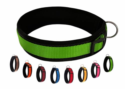 BUDDYPACK | Bequemes Hundehalsband | Extra-Breit mit Neopren-Polster | Für Minis bis Riesen | Größe XXS-3XL (XS (32-37 cm), Grün auf Schwarz) von Buddypack