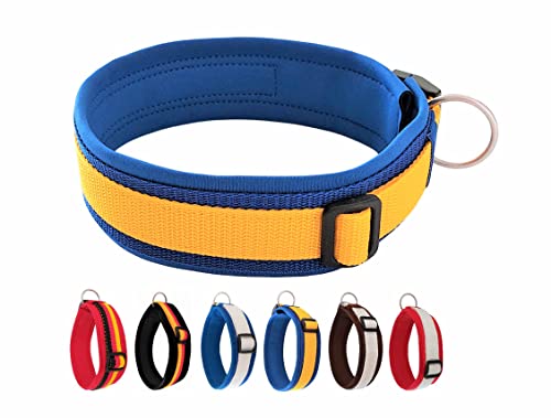 BUDDYPACK | Exklusives Hundehalsband Extra-Breit und Weich mit Neopren-Polster | Größe XXS-3XL | Verstellbar (S/M (41-46 cm), Blau-Gelb) von Buddypack