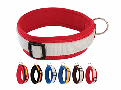 BUDDYPACK | Exklusives Hundehalsband Extra-Breit und Weich mit Neopren-Polster | Größe XXS-3XL | Verstellbar (S/M (41-46 cm), Rot-Weiß) von Buddypack