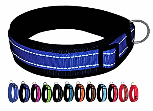 BUDDYPACK | Extra-Breites Hundehalsband mit Reflektorstreifen | Weiches Neopren-Polster | Größe XXS-3XL Verstellbar (L/XL (53-58 cm), Royalblau-Schwarz) von Buddypack