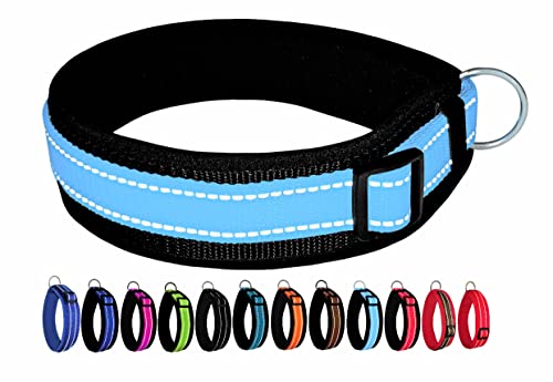 BUDDYPACK | Extra-Breites Hundehalsband mit Reflektorstreifen | Weiches Neopren-Polster | Größe XXS-3XL Verstellbar (L (50-55 cm), Türkis auf Schwarz) von Buddypack