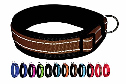 BUDDYPACK | Extra-Breites Hundehalsband mit Reflektorstreifen | Weiches Neopren-Polster | Größe XXS-3XL Verstellbar (M/L (47-52 cm), Braun auf Schwarz) von Buddypack