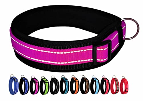 BUDDYPACK | Extra-Breites Hundehalsband mit Reflektorstreifen | Weiches Neopren-Polster | Größe XXS-3XL Verstellbar (S/M (41-46 cm), Pink-Schwarz) von Buddypack