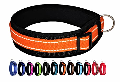 BUDDYPACK | Extra-Breites Hundehalsband mit Reflektorstreifen | Weiches Neopren-Polster | Größe XXS-3XL Verstellbar (XS/S (35-40 cm), Orange auf Schwarz) von Buddypack