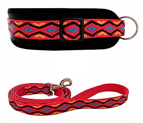 BUDDYPACK | Hundehalsband-Leine-Set | Halsband Extra-Breit und Weich Gepolstert Plus Leine Mit Handschlaufe 1,50 m | Bunt (Rot-Gelb-Blau-Schwarz, XXXL (62-67 cm)) von Buddypack