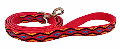 BUDDYPACK | Hundeleine mit Handschlaufe | 1,00 – 2,00 m lang | 20 mm breit | Bunt: Viele Hübsche Farben (1,00 m, Rot-Gelb-Blau-Schwarz) von Buddypack