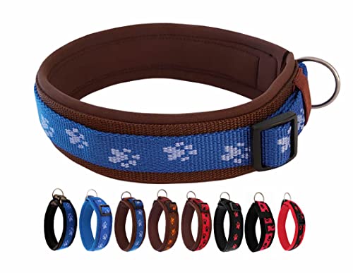 BUDDYPACK | Pfötchen-Hundehalsband Extra-Breit mit Neopren gepolstert | Größe XXS-3XL (4-6 cm breit) | Verstellbar (XXL (59-64 cm), Blau-Braun) von Buddypack