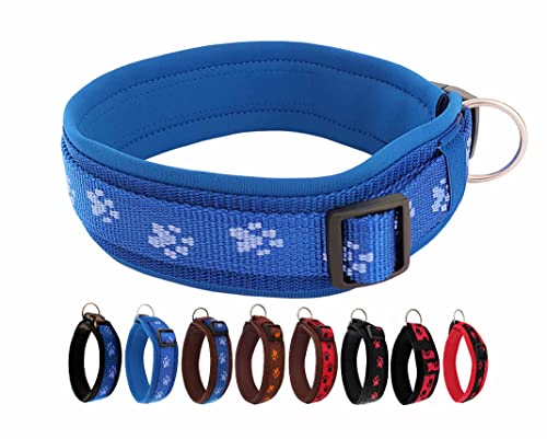 BUDDYPACK | Pfötchen-Hundehalsband Extra-Breit mit Neopren gepolstert | Größe XXS-3XL (4-6 cm breit) | Verstellbar (XXXL (62-67 cm), Blau auf Blau) von Buddypack