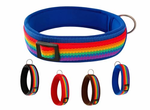 BUDDYPACK | Regenbogen-Hundehalsband Extra-Breit und Weich mit Neopren-Polster | Größe XXS-XL | Verstellbar (M (44-49 cm), Regenbogen auf Blau) von Buddypack