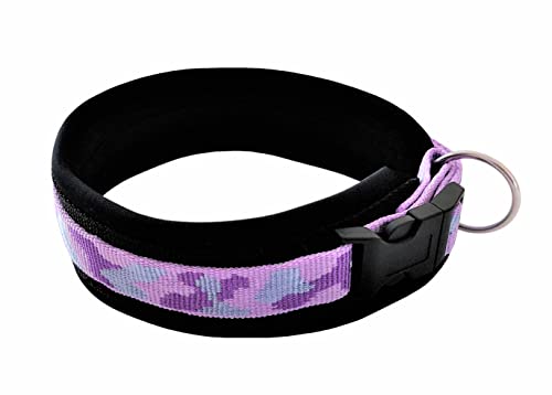 BUDDYPACK | Schickes Hundehalsband Extra-Breit und Weich mit Neopren Gepolstert | Größe XXS-3XL | Verstellbar | Bunt (S (38-43 cm), Lila-Flieder-Silber) von Buddypack