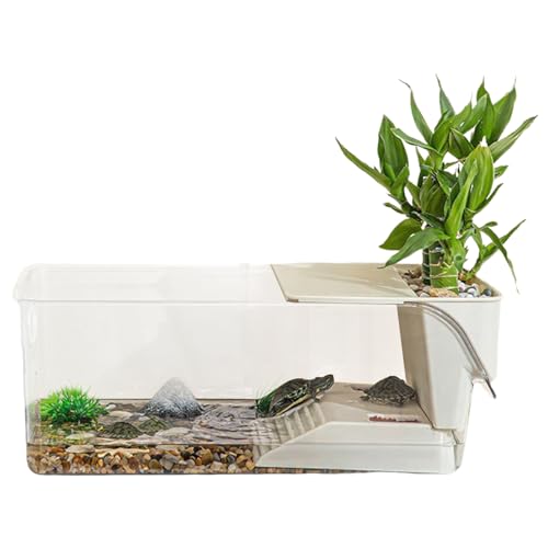 Buerfu Aquarium für Schildkröten, Schildkrötenbecken Und Aquaterrarien, Terrarium Zubehör Für Reptilien Amphibien Krebse Habitat Fütterung Sonnenplatz Buerfu Aquarium für Schildkröten, Schildkrötenbecken Und Aquaterrarien, Terrarium Zubehör Für Reptilien Amphibien Krebse Habitat Fütterung Sonnenplatz von Buerfu