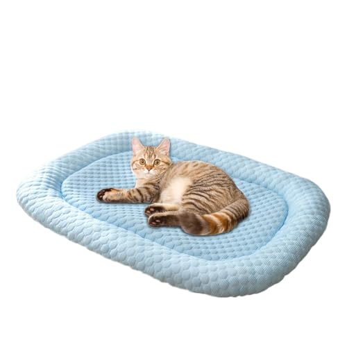 Buerfu Hundebetten | Atmungsaktive Katzennest Kissen | Hundeschlafunterlage Katzennest Kissen, Hundebett Hundekäfigmatte, Hundematte Sommerunterlage für kleine Hunde und Katzen Buerfu Hundebetten | Atmungsaktive Katzennest Kissen | Hundeschlafunterlage Katzennest Kissen, Hundebett Hundekäfigmatte, Hundematte Sommerunterlage für kleine Hunde und Katzen von Buerfu